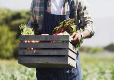 bio-chaque-geste-compte-pour-environnement-sante