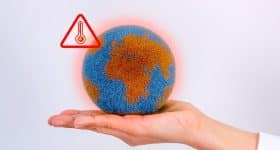 hausse-temperatures-quels-effets-alimentation